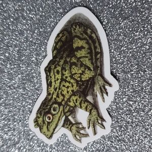 NATURE WATERPOOF Sticker Frog